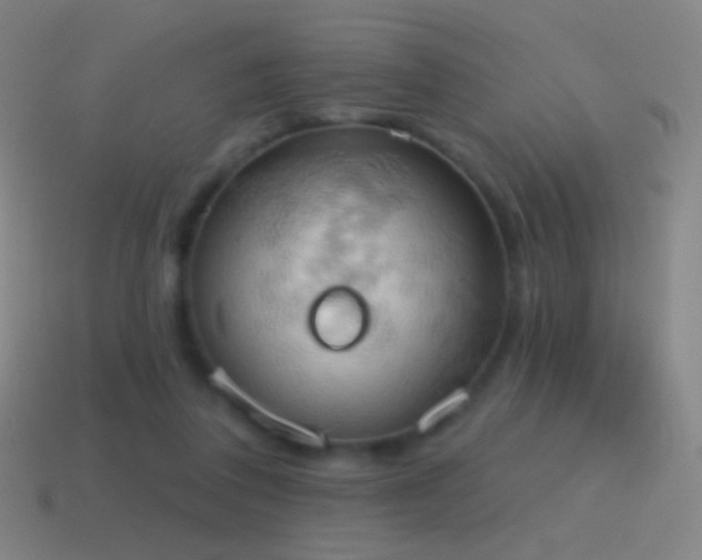 X0000115590308200911101244
