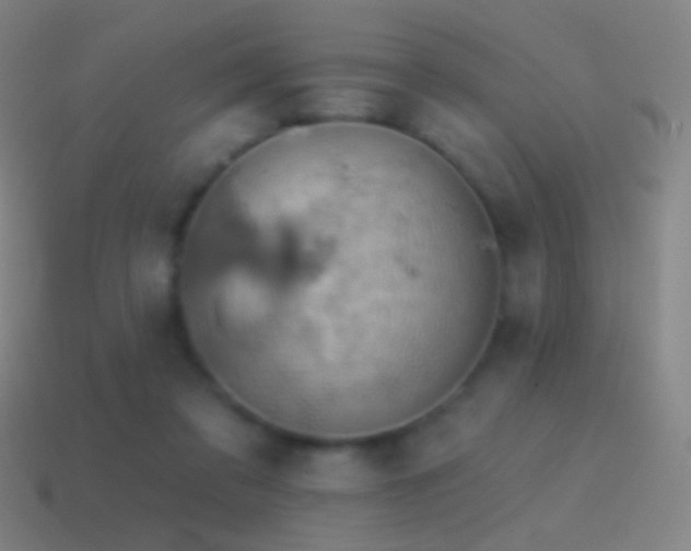 X0000115590309200911101244