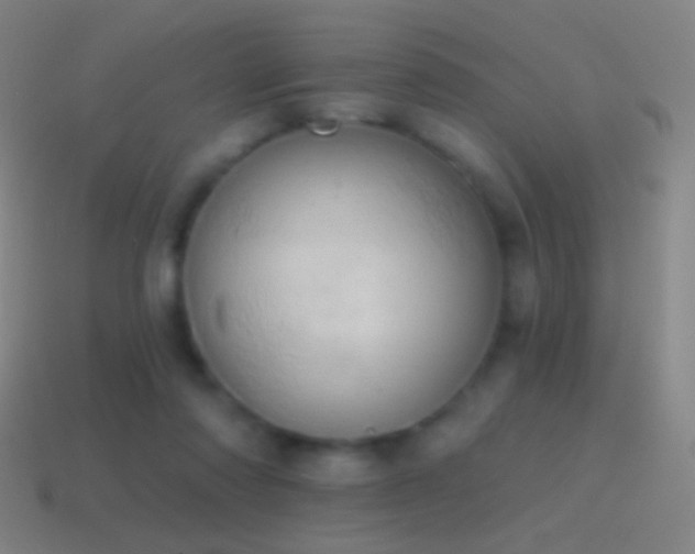 X0000115590310200911101244