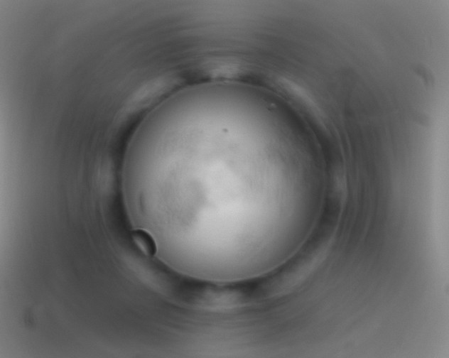 X0000115590311200911101244