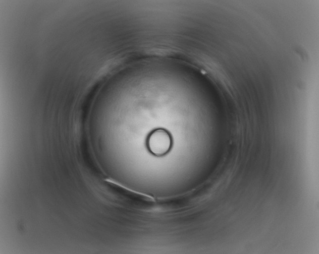 X0000115590312200911101244