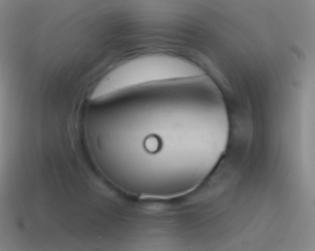 X0000115590313200911101244