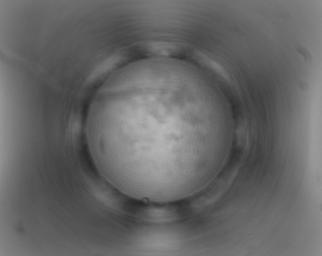 X0000115590314200911101244