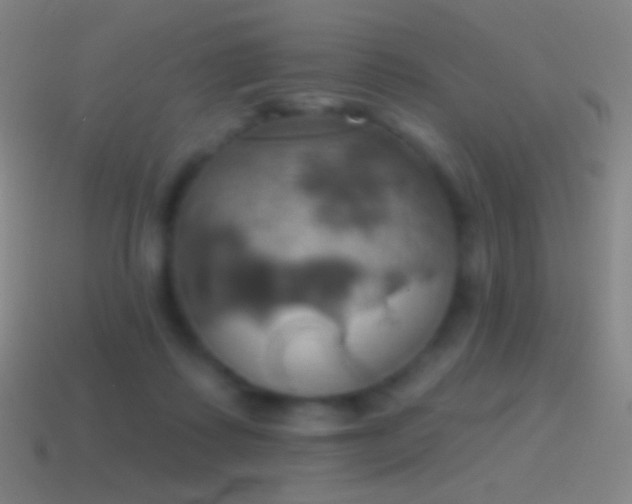 X0000115590315200911101244