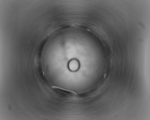 X0000115590316200911101244