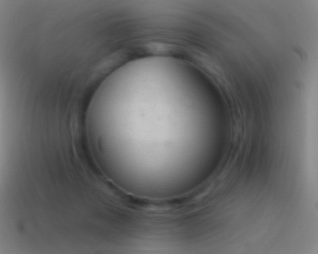 X0000115590317200911101244