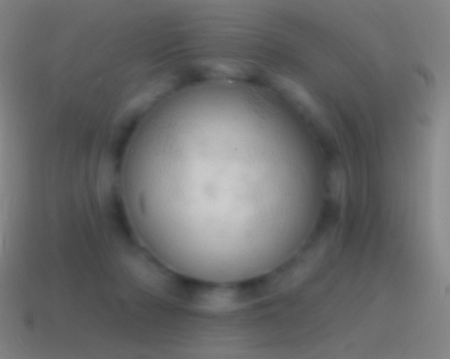 X0000115590318200911101244