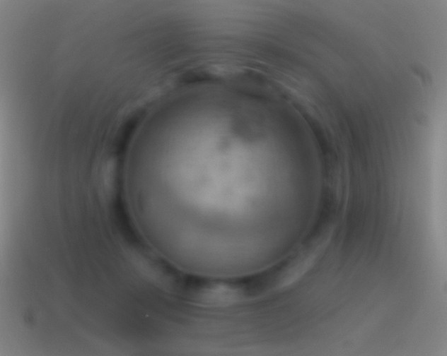 X0000115590319200911101244