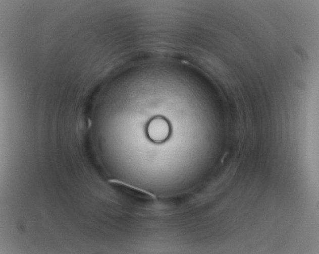 X0000115590320200911101243