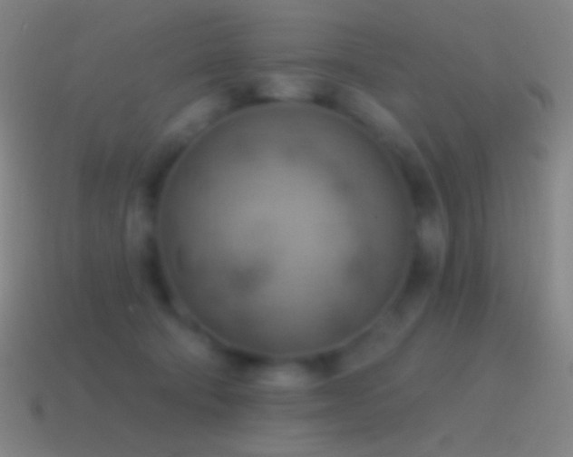 X0000115590322200911101243