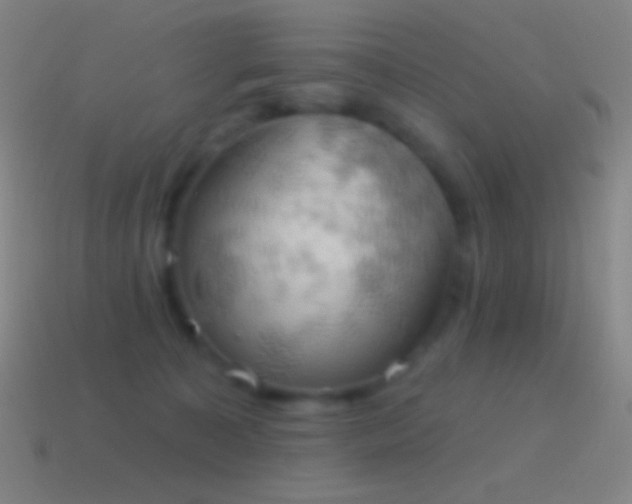 X0000115590323200911101243