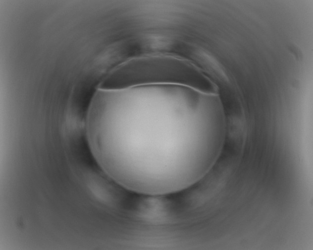 X0000115590324200911101243