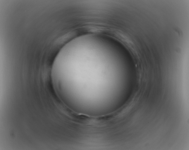 X0000115590325200911101243