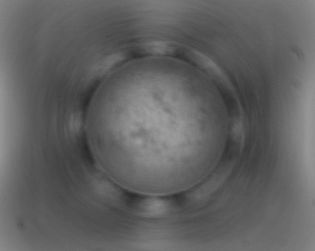 X0000115590326200911101243