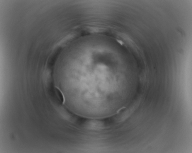 X0000115590327200911101243