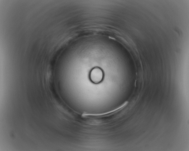 X0000115590328200911101243
