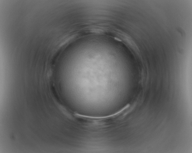 X0000115590329200911101243