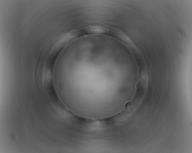 X0000115590330200911101243