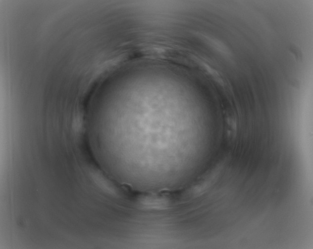 X0000115590331200911101243
