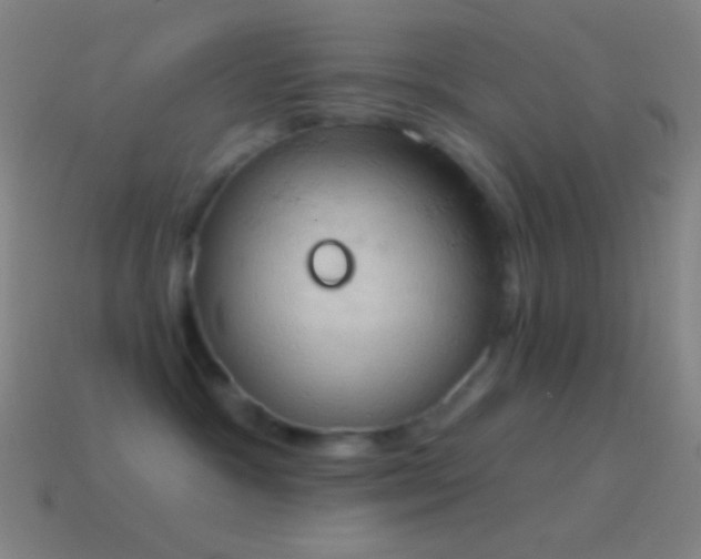 X0000115590333200911101243
