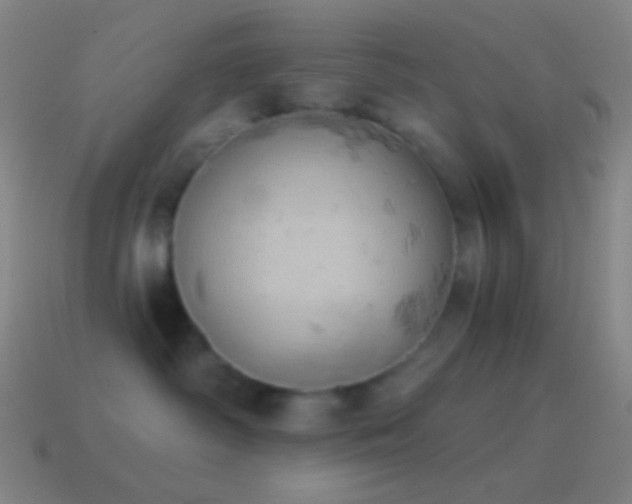 X0000115590334200911101243