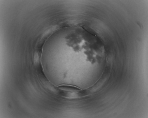 X0000115590335200911101243