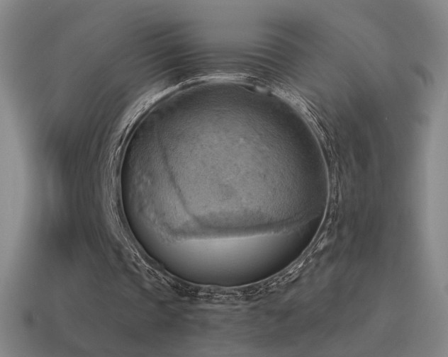 X0000115590337200911101243