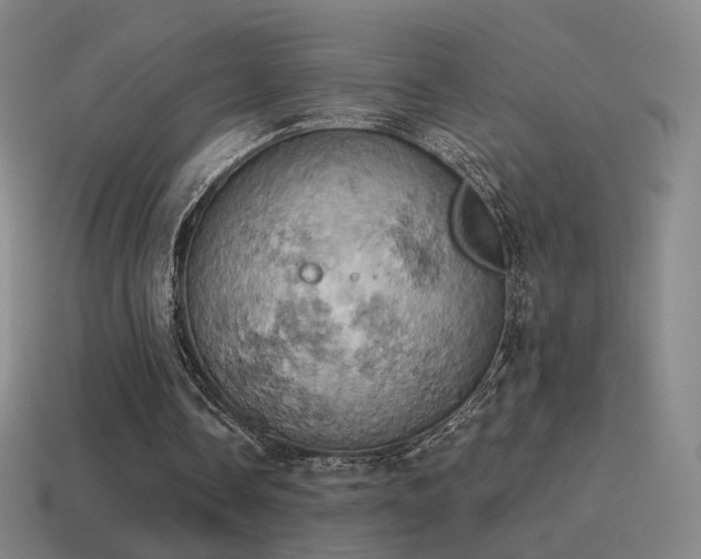 X0000115590338200911101243