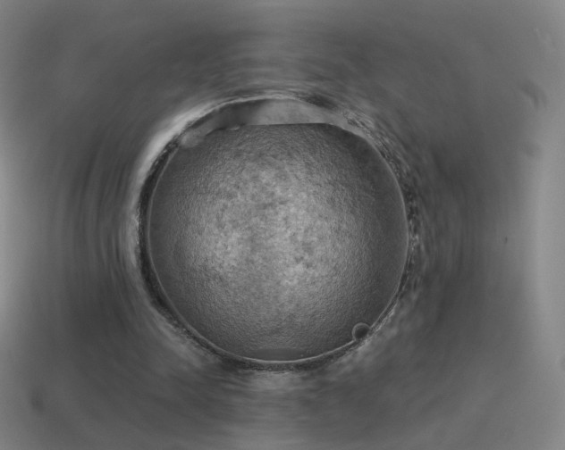 X0000115590342200911101243