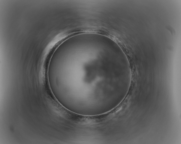 X0000115590343200911101243