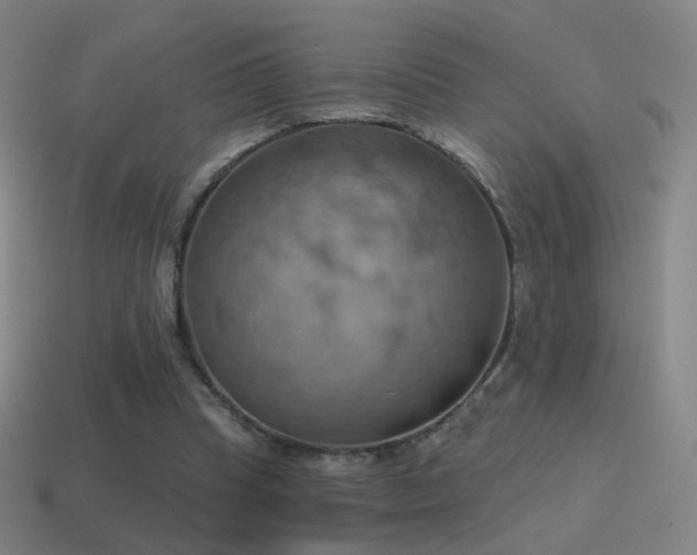 X0000115590345200911101243