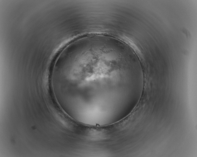 X0000115590346200911101243