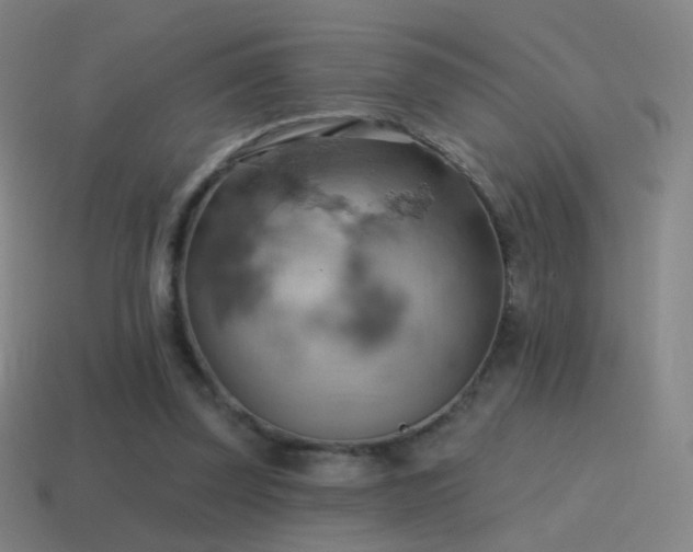 X0000115590347200911101243