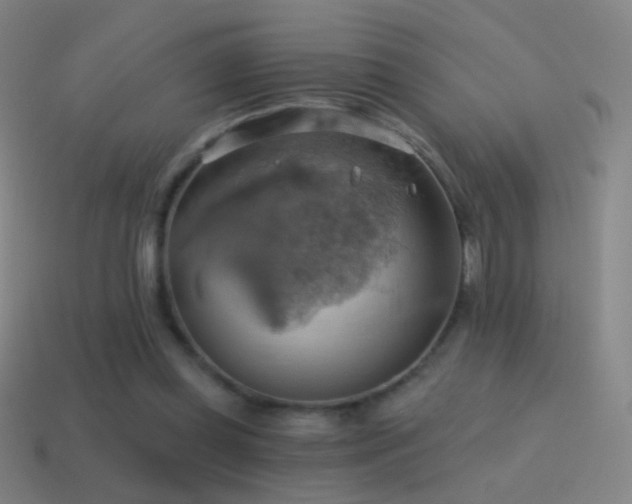 X0000115590349200911101243