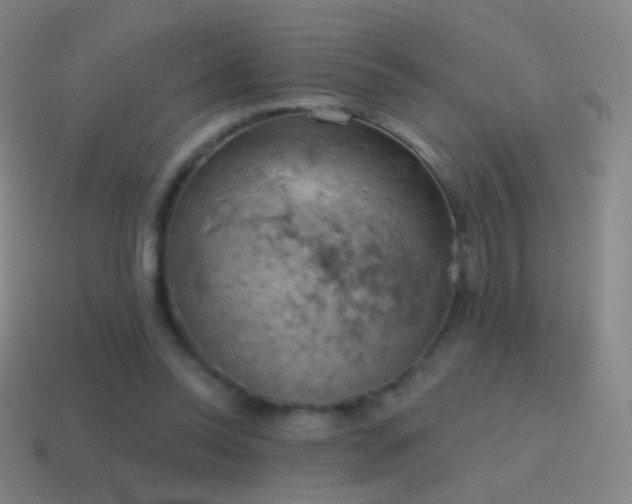 X0000115590350200911101243