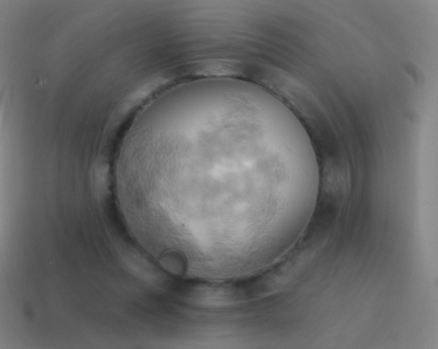 X0000115590351200911101243