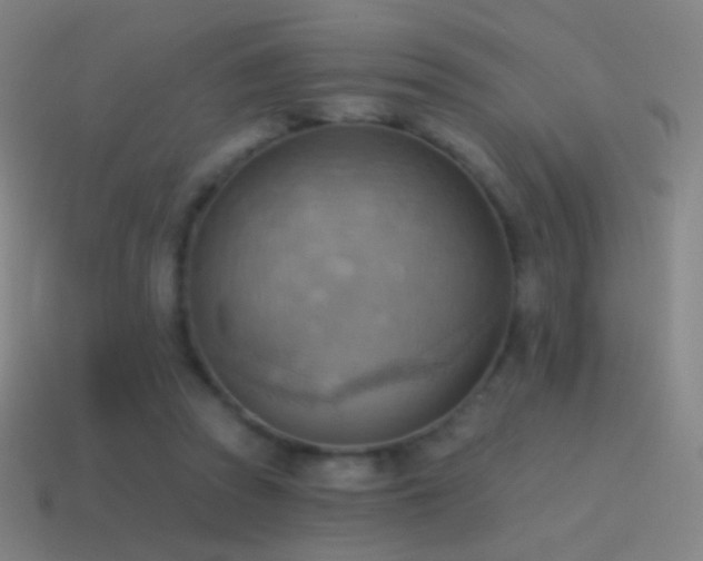 X0000115590353200911101243