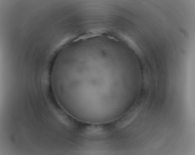X0000115590354200911101243