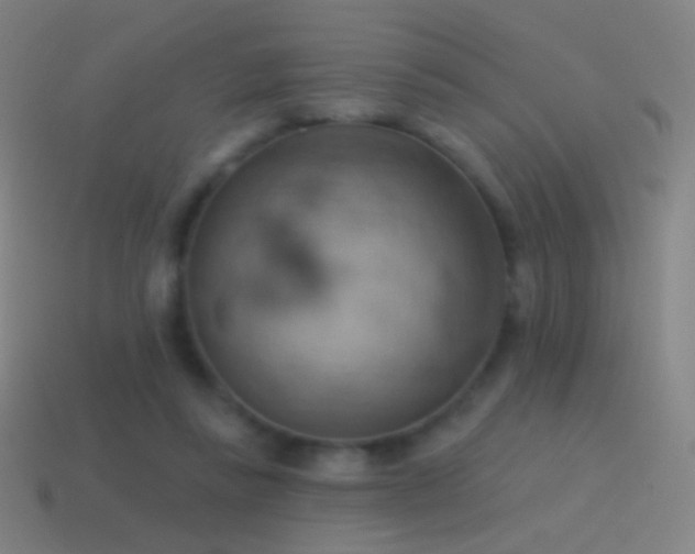 X0000115590355200911101243