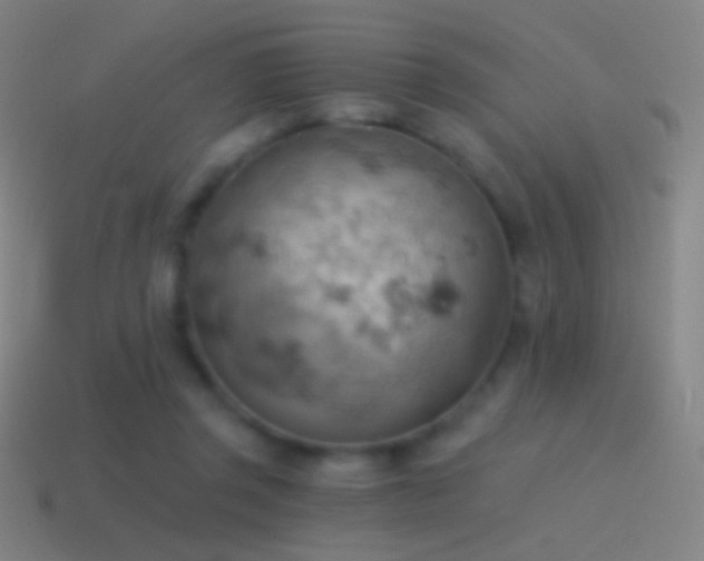 X0000115590357200911101243