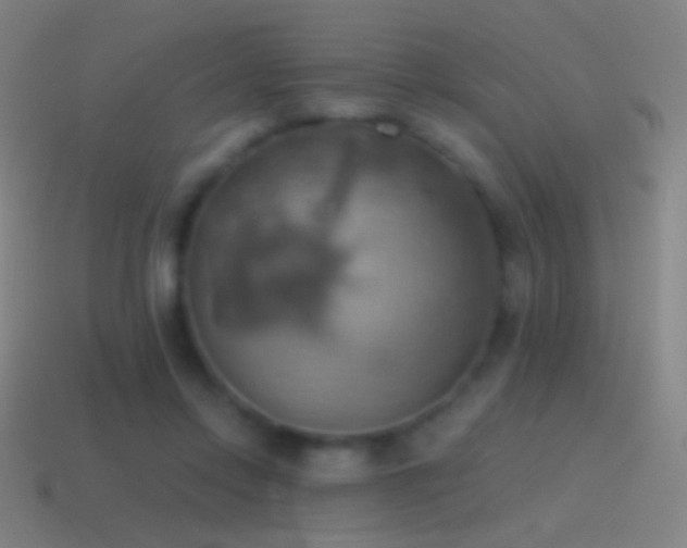 X0000115590358200911101243