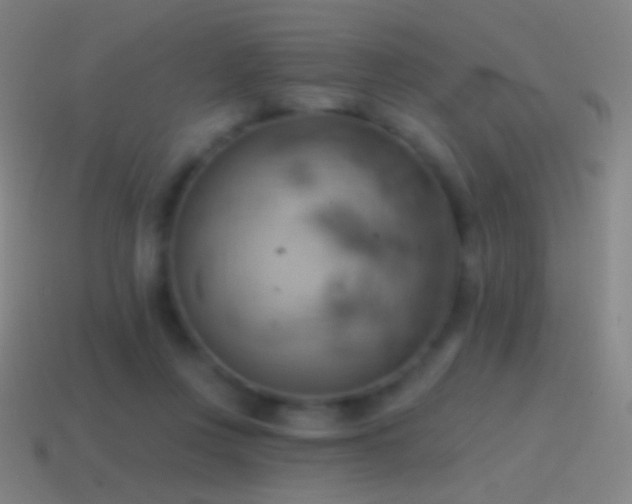 X0000115590359200911101243