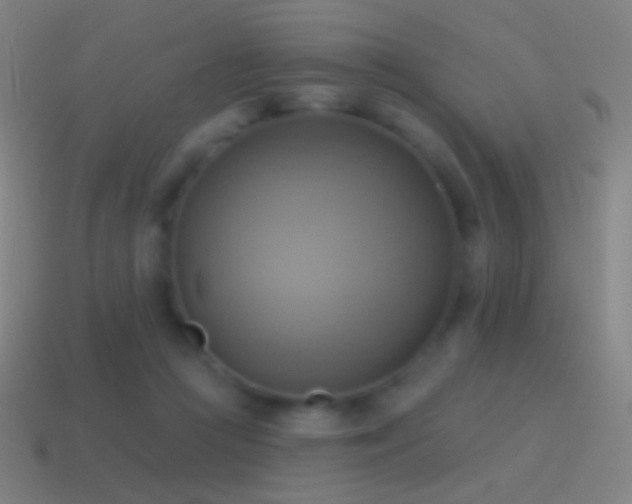 X0000115590361200911101243