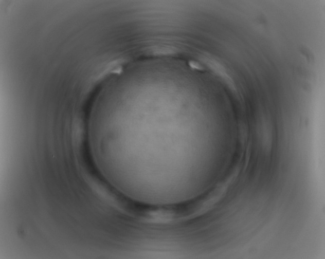 X0000115590362200911101243