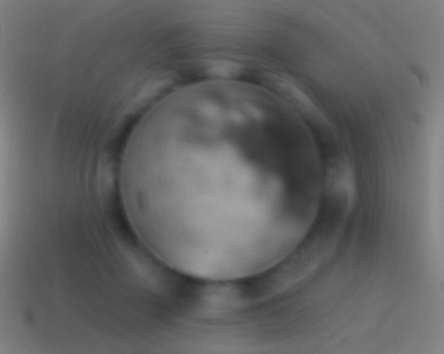 X0000115590363200911101243