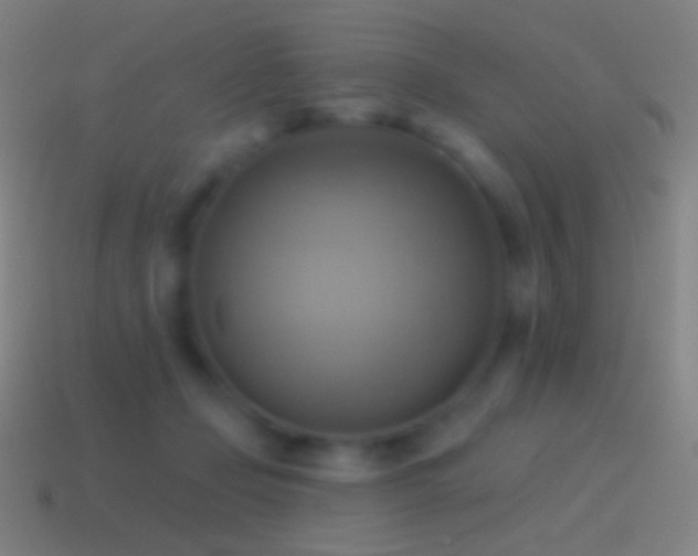X0000115590365200911101243