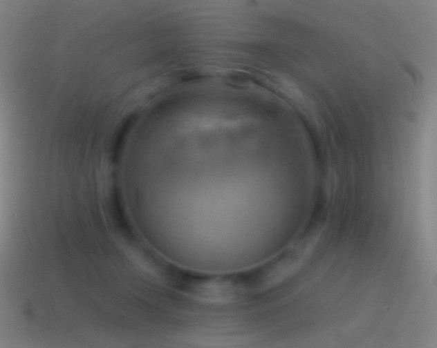 X0000115590366200911101243