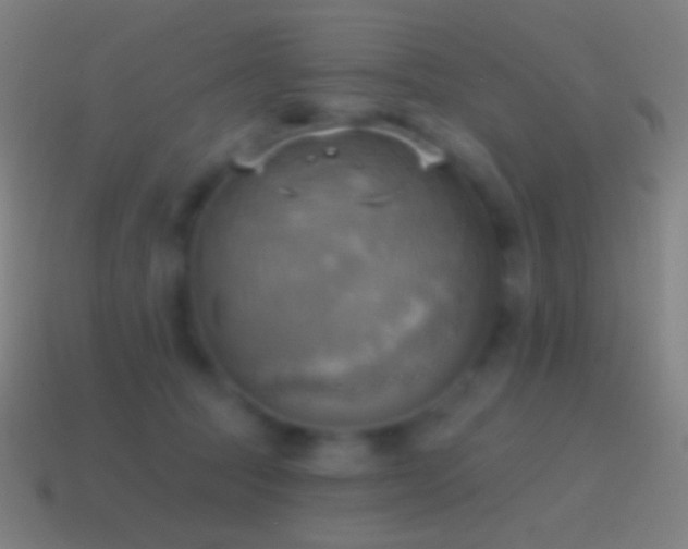 X0000115590369200911101243