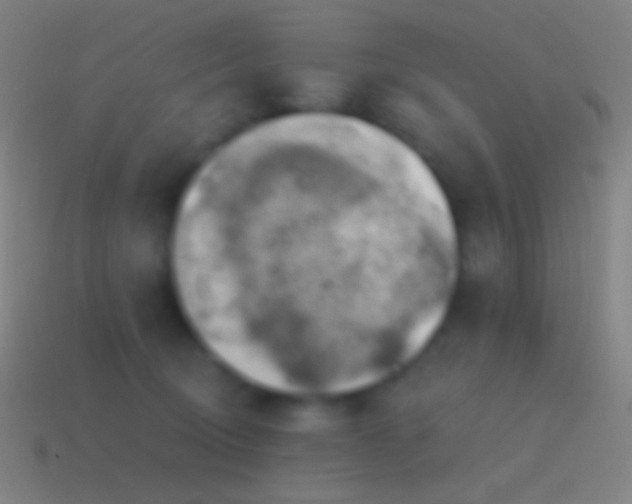 X0000115590370200911101243