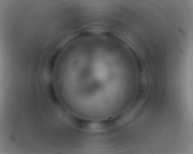 X0000115590371200911101243